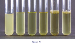 Salt tolerance test tubes