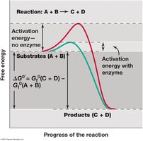 Activation energy and catalysis