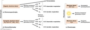 Metabolic diversity and its relationship to oxygen