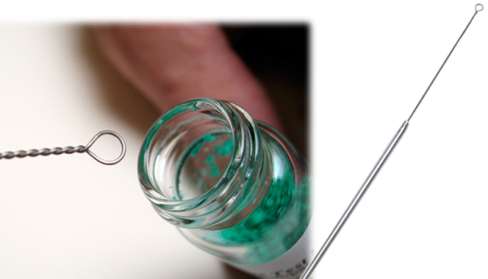 Inoculating loop and needle