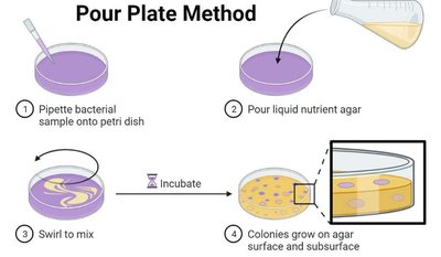 Pour plate method diagram