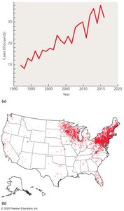 Epidemiology of Lyme disease in the US