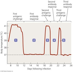 Body temperature chart for relapsing fever
