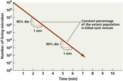 Microbial death rate graph