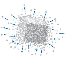 Passive transport processes in cells