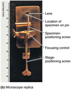 Replica of Leeuwenhoek's microscope