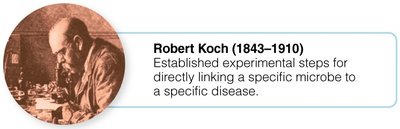 Portrait of Robert Koch