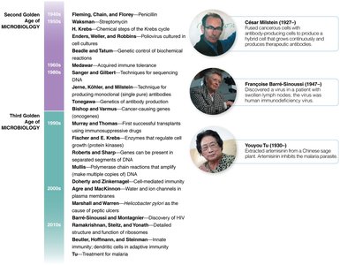 SEM image of biofilm on plastic, showing bacteria and capsular material
