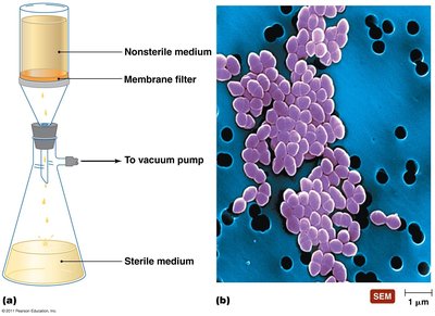 Filtration equipment used for microbial control
