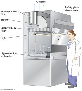 Role of HEPA filters in biological safety cabinets