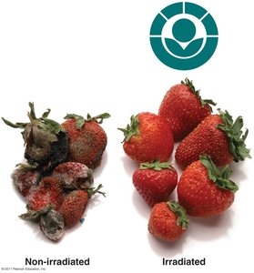 Increased shelf life of food achieved by ionizing radiation