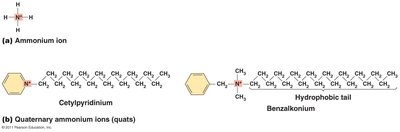 Quaternary ammonium compounds (quats)