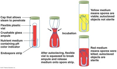 Sterility indicator