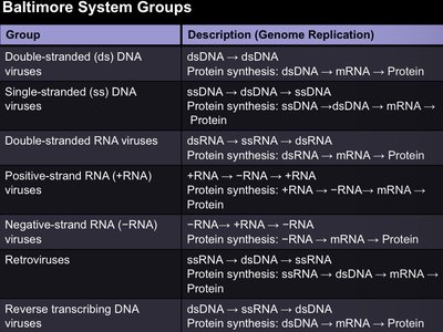 Baltimore System Groups Table