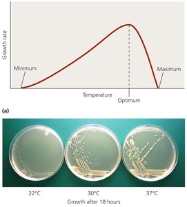 Growth rate vs. temperature and plate growth at different temperatures