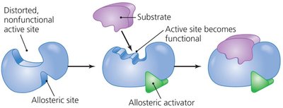 Allosteric activation