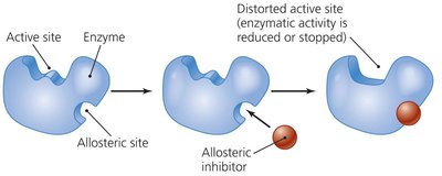 Allosteric inhibition
