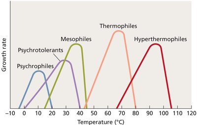 Temperature classes of microorganisms
