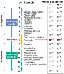 pH scale and examples of environments