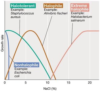 Growth rate vs. salt concentration