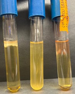 Broth tube growth patterns