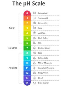 The pH scale, showing acidic, neutral, and alkaline values