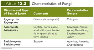 Characteristics of fungi table