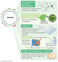 Applications of genomics in systems biology