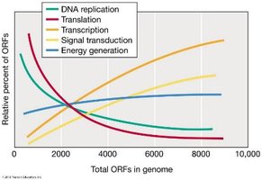 Relative percent of ORFs by function versus genome size