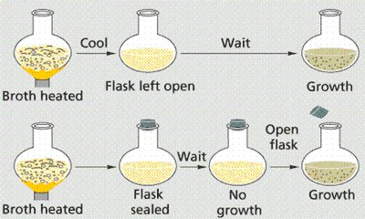 Needham and Spallanzani's experiments