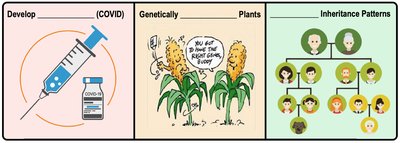 Applications of DNA-based technology: vaccine development, genetically modified plants, inheritance patterns