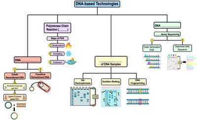 Map of DNA-based technologies including cloning, PCR, electrophoresis, blotting, fingerprinting, and sequencing