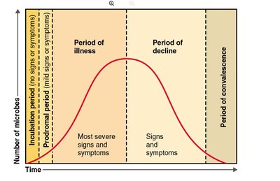 Graph showing the stages of infectious disease: incubation, prodromal, illness, decline, and convalescence