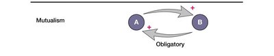 Diagram of mutualism showing reciprocal benefit between two organisms