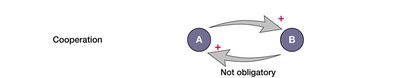 Diagram of cooperation showing reciprocal benefit but not obligatory