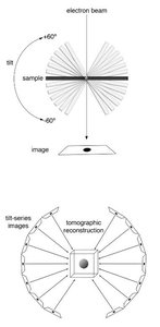 Cryo-electron tomography schematic