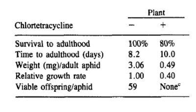 Table showing effects of antibiotic treatment on aphid development and reproduction