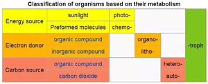 Classification of organisms based on metabolism