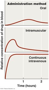 Effect of route of administration on drug concentration