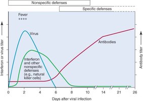 Graph showing time course of nonspecific and specific immune responses after viral infection
