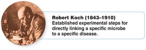 Robert Koch: Linking microbes to specific diseases