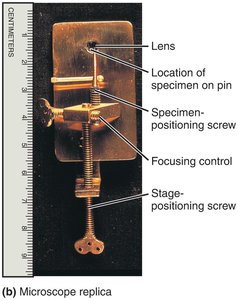 Replica of Leeuwenhoek's simple microscope