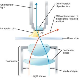 Use of immersion oil in microscopy