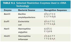 Table of selected restriction enzymes