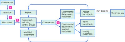 Flowchart of the scientific method
