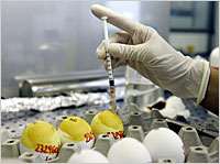 Use-dilution test for virucides using embryonated eggs