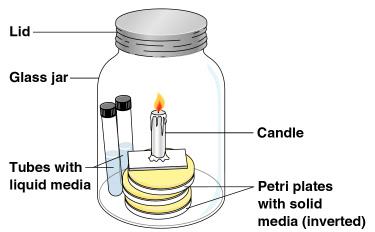 Candle jar for microaerophilic growth