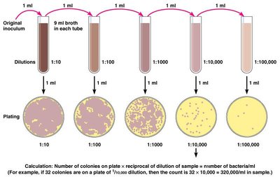 Serial dilution and plating for standard plate count