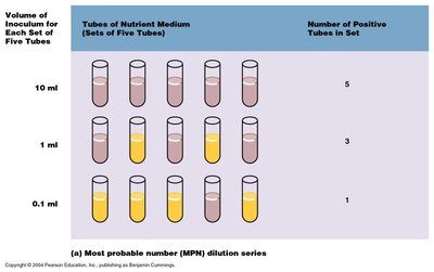 Most probable number (MPN) dilution series