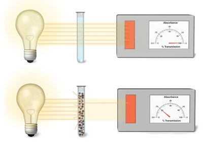 Spectrophotometer measuring turbidity